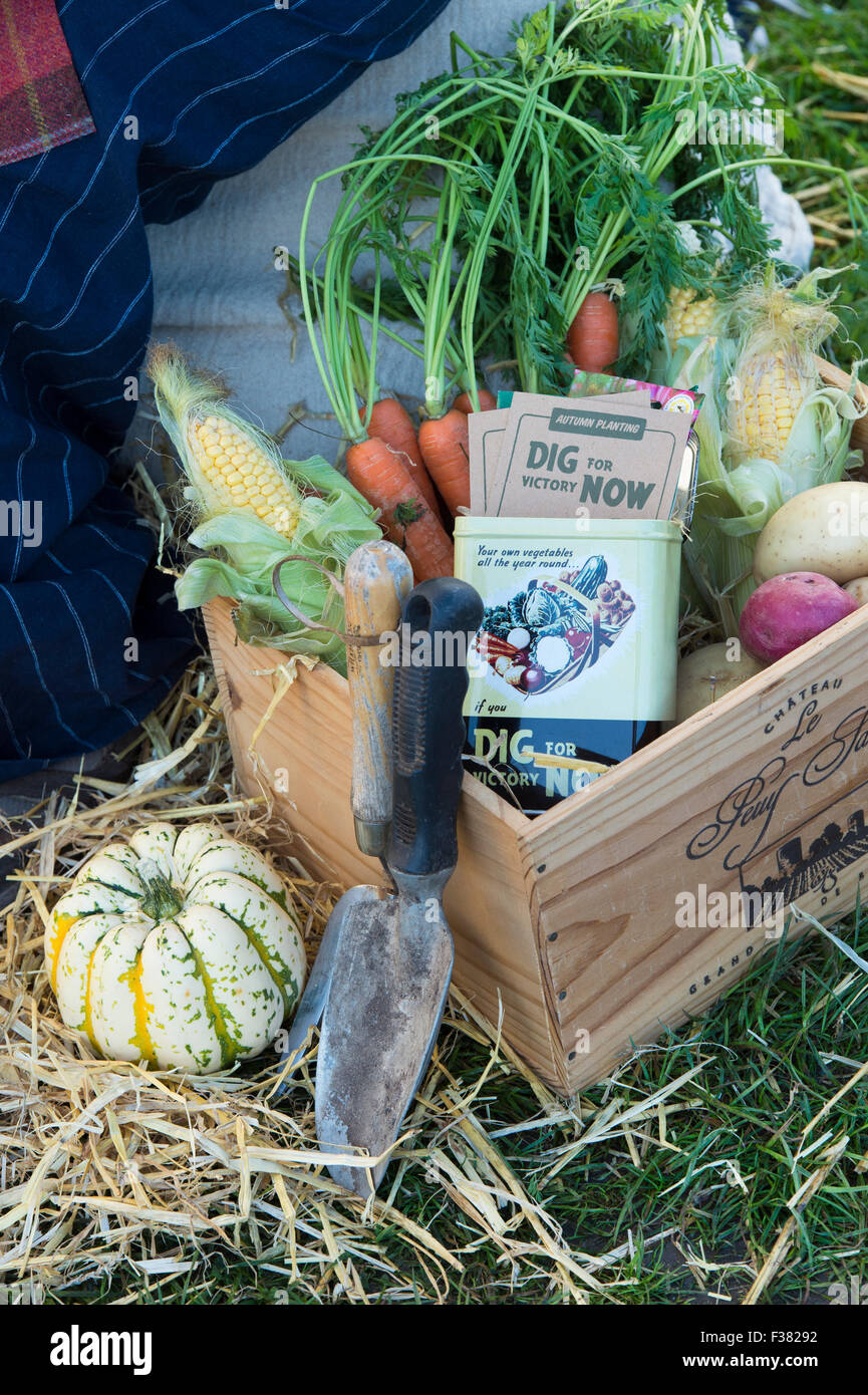 Dig for Victory Vegetable box display at an Autumn Show. UK Stock Photo