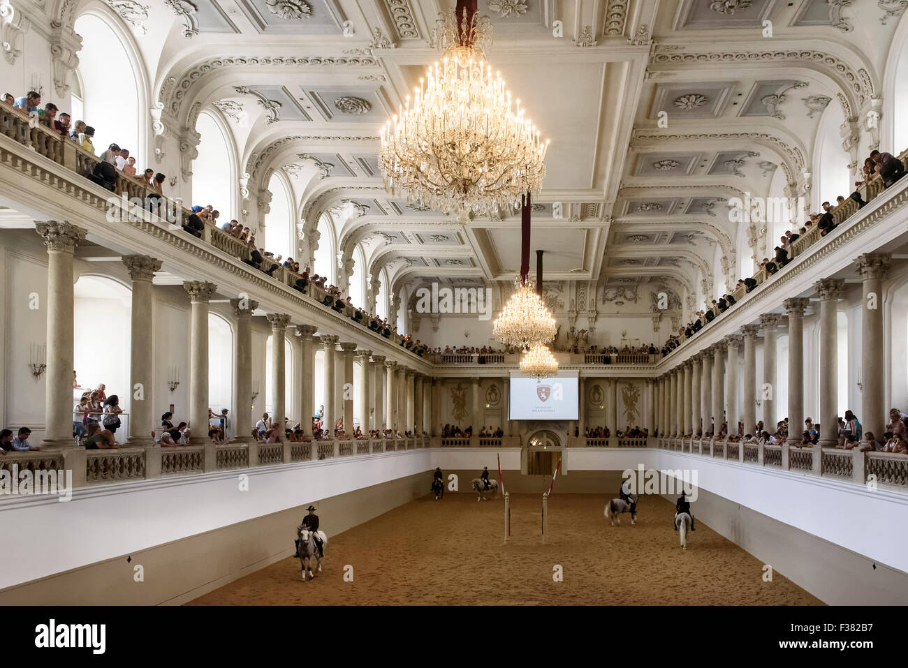 spanish riding school at training in the Baroque hall, Vienna, Austria, world heritage Stock Photo