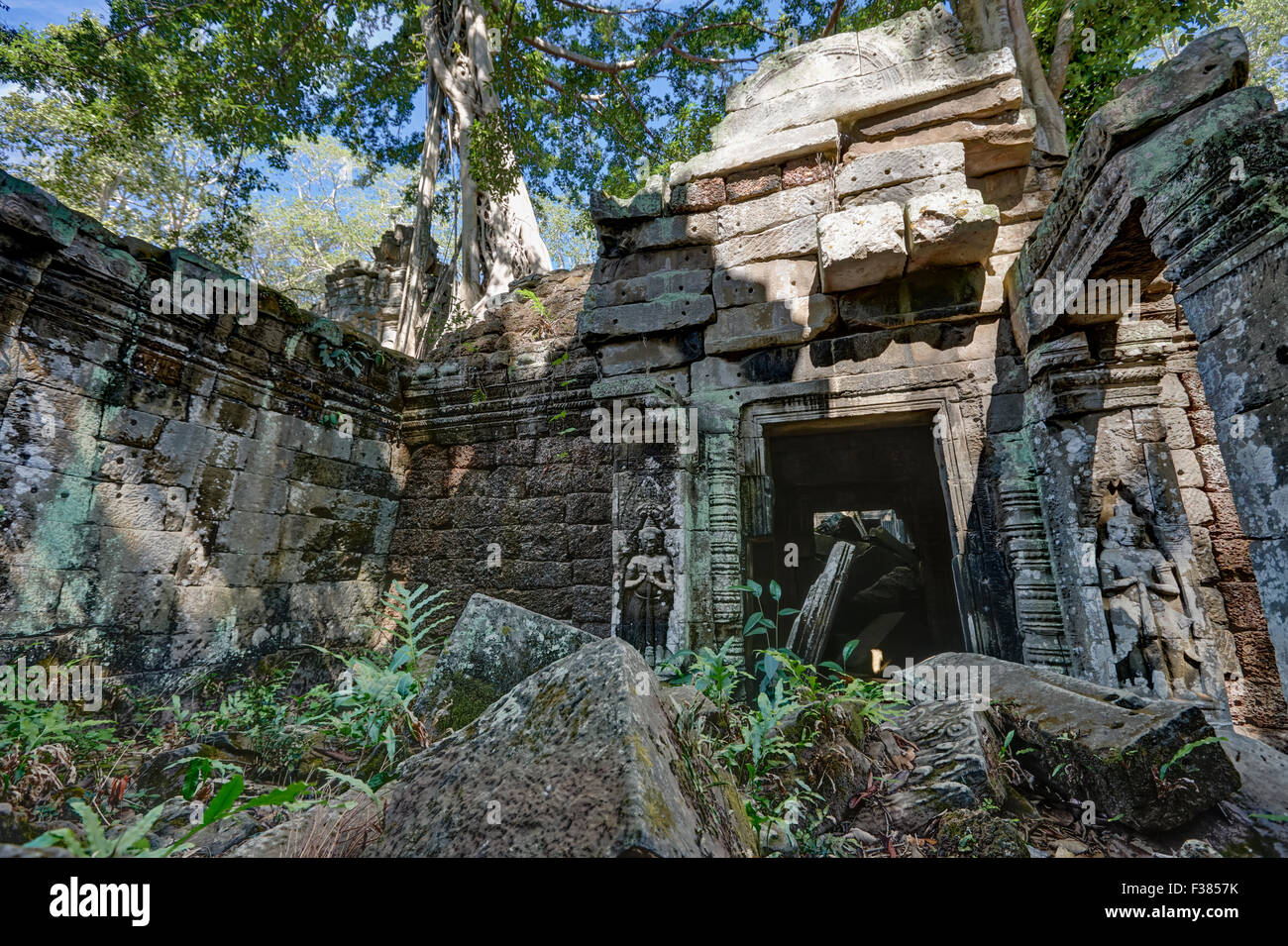 Ta Prohm temple. Angkor Archaeological Park, Siem Reap Province, Cambodia. Stock Photo
