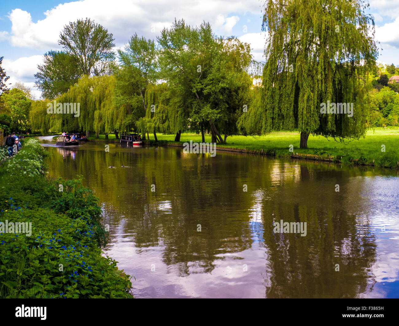Boating on the River Wey at Guildford, Surrey England Stock Photo Alamy