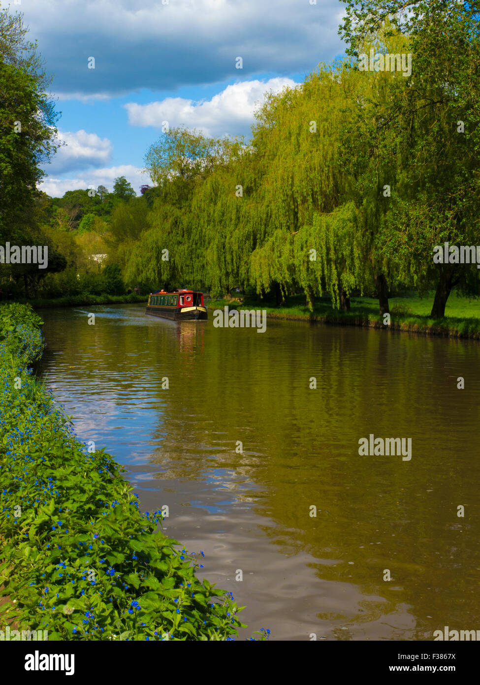 Boating On The River Wey At Guildford Surrey England Stock Photo Alamy