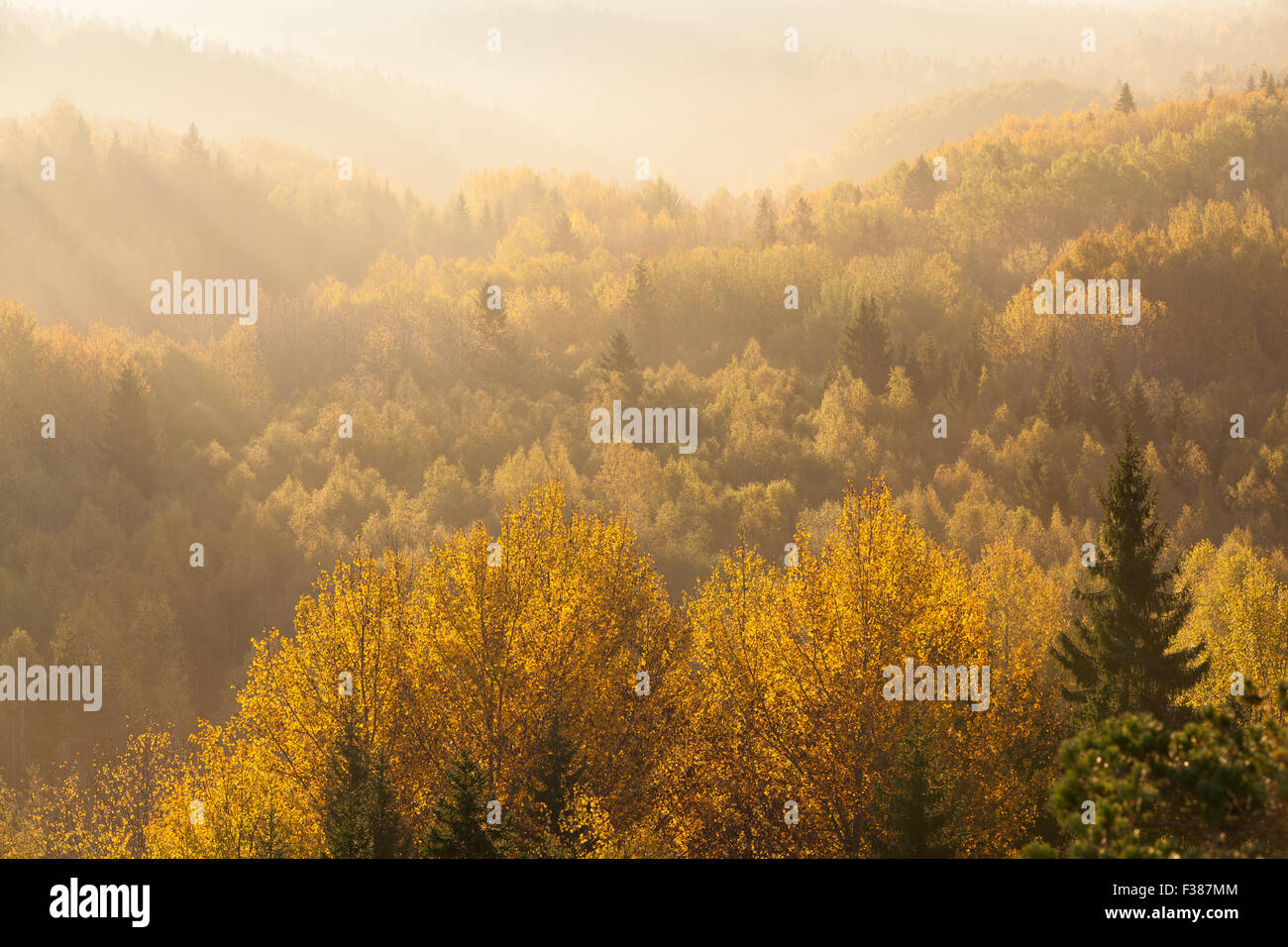 A beautiful autumnal morning at Nuuksio national park Stock Photo