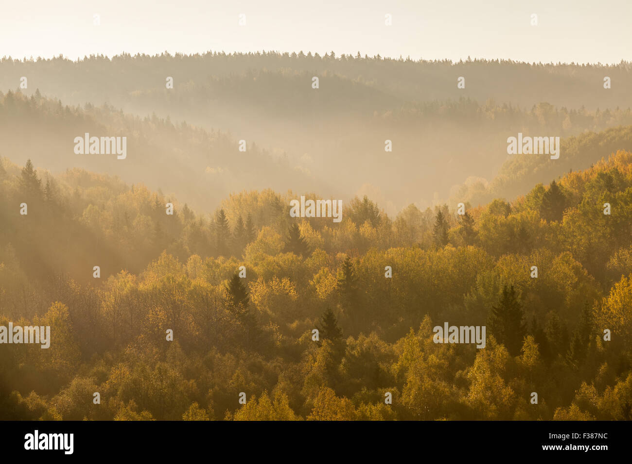 A beautiful autumnal morning at Nuuksio national park Stock Photo