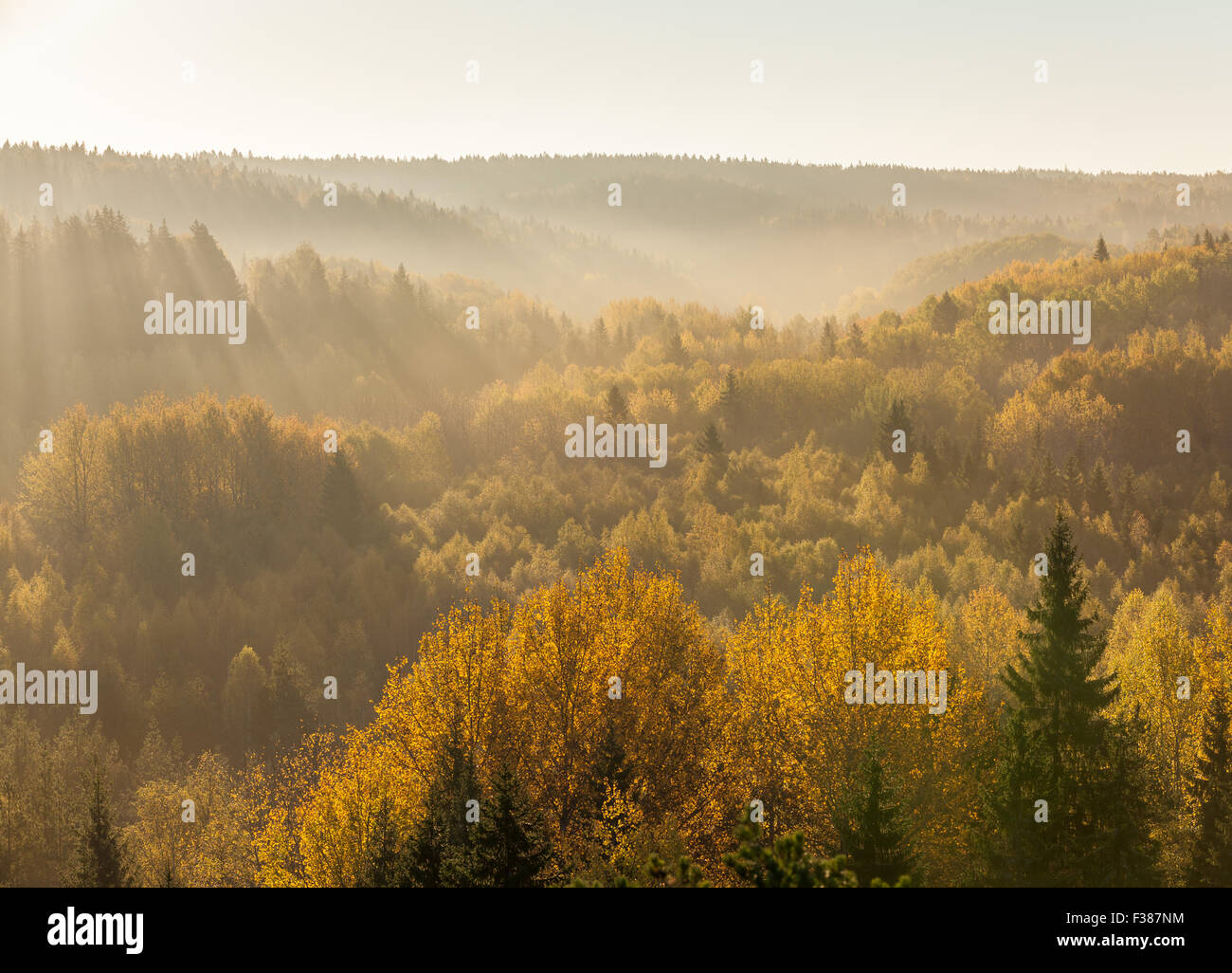 A beautiful autumnal morning at Nuuksio national park Stock Photo