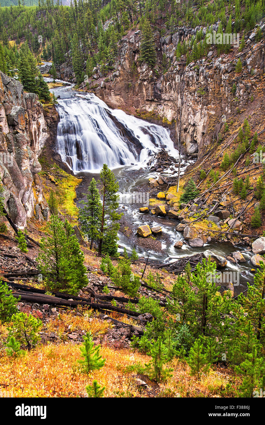 Gibbon Falls is a popular roadside attraction on the west side of
