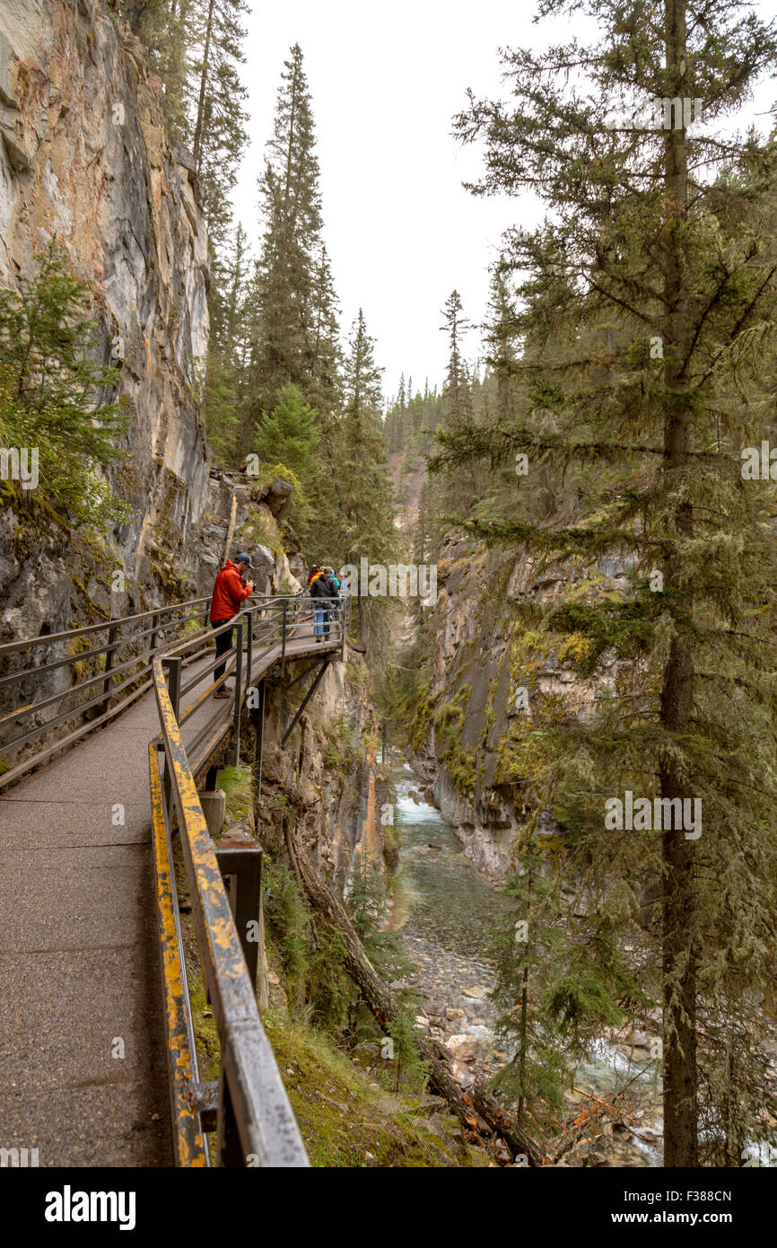 Hiking trail consisting of a walkway with safety rails and bridges at