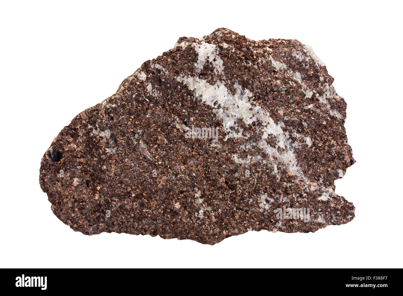 Phlogopite-rock (glimmerite) with carbonatite (carbonate igneous rock ...