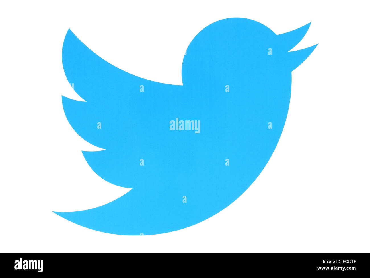 KIEV, UKRAINE - MAY 26, 2015:Twitter logotype bird printed on paper. Twitter is an online social networking service Stock Photo