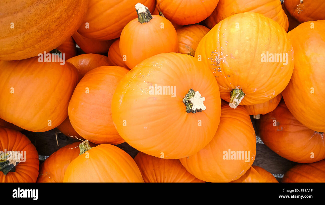 Orange pumpkins as background, top view Stock Photo - Alamy