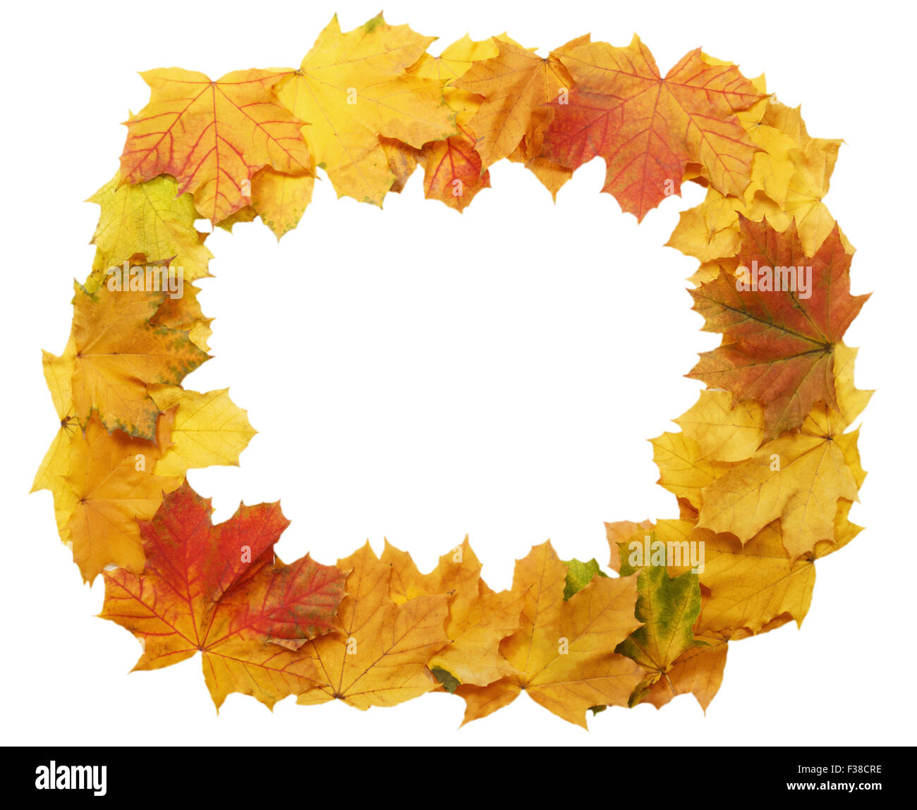 Frame of yellow maple leaves isolated on a white background Stock Photo ...