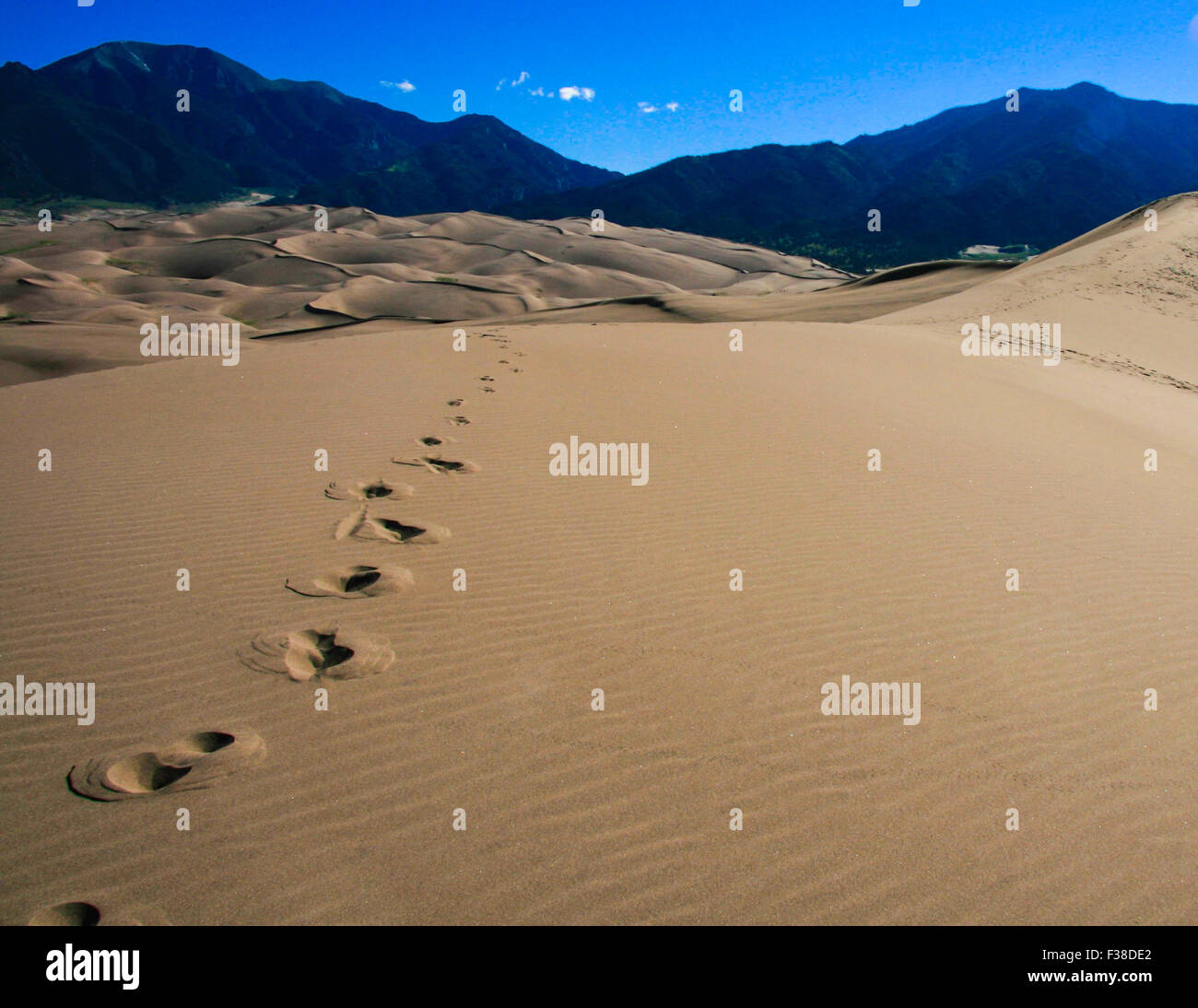 foot-prints-in-the-sand-stock-photo-alamy