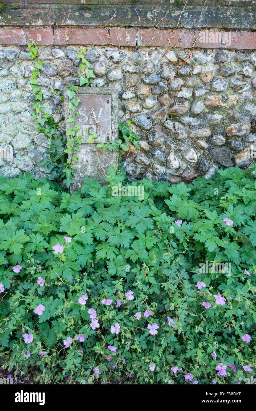 Norfolk flint wall with Concrete Sluice Valve marker post Stock Photo Alamy