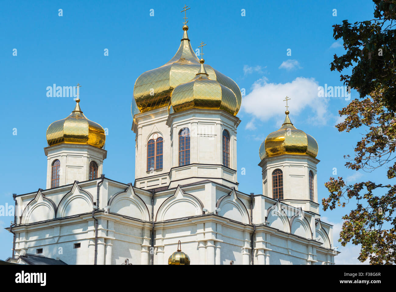 Fragment with the domes of the Orthodox Church, Stavropol. Russia Stock Photo