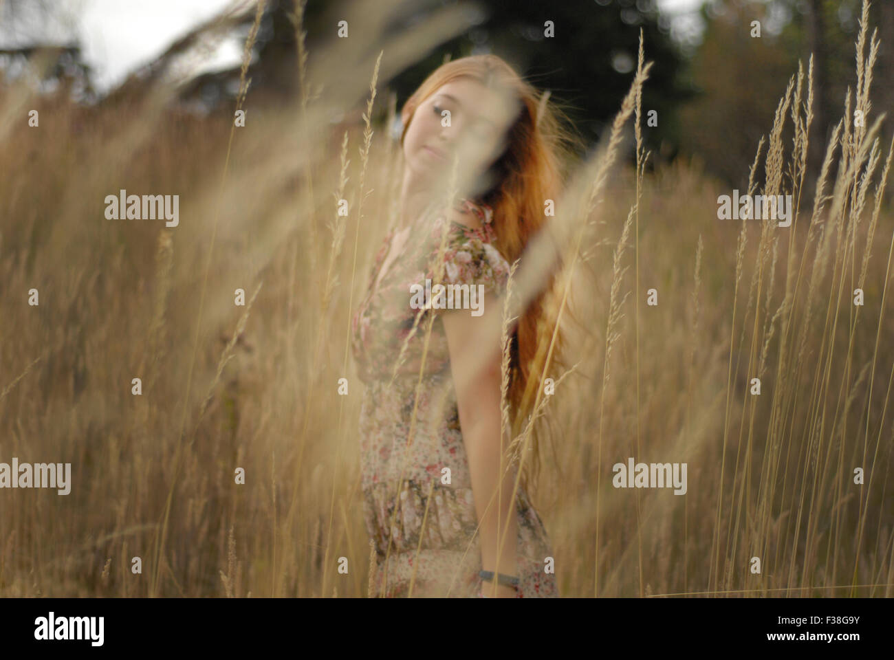 Ginger girl between the golden fields nice dress soft air Stock Photo