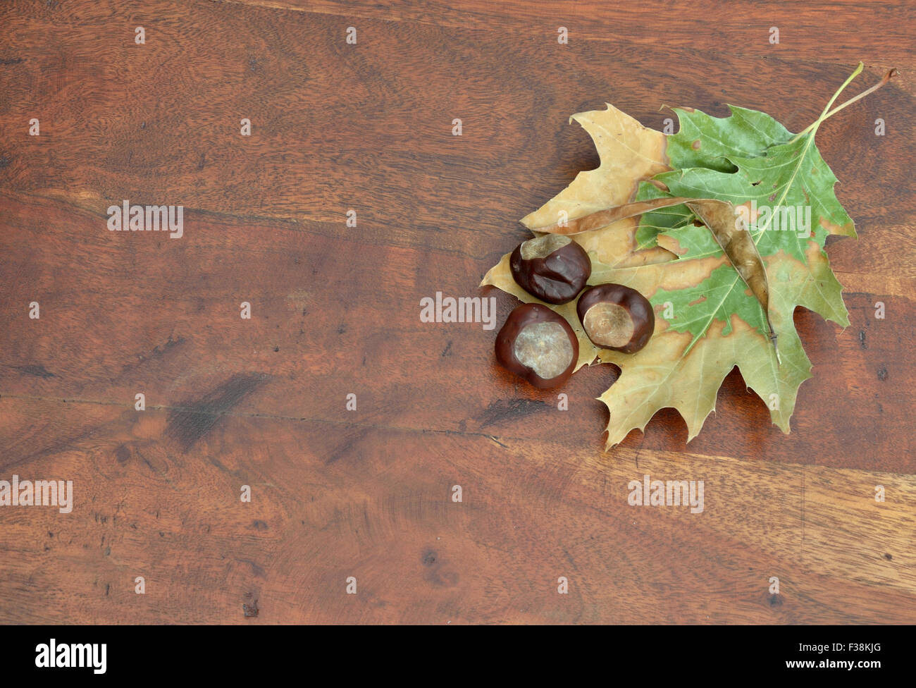 Dry leaves and chestnuts on teak surface Stock Photo - Alamy