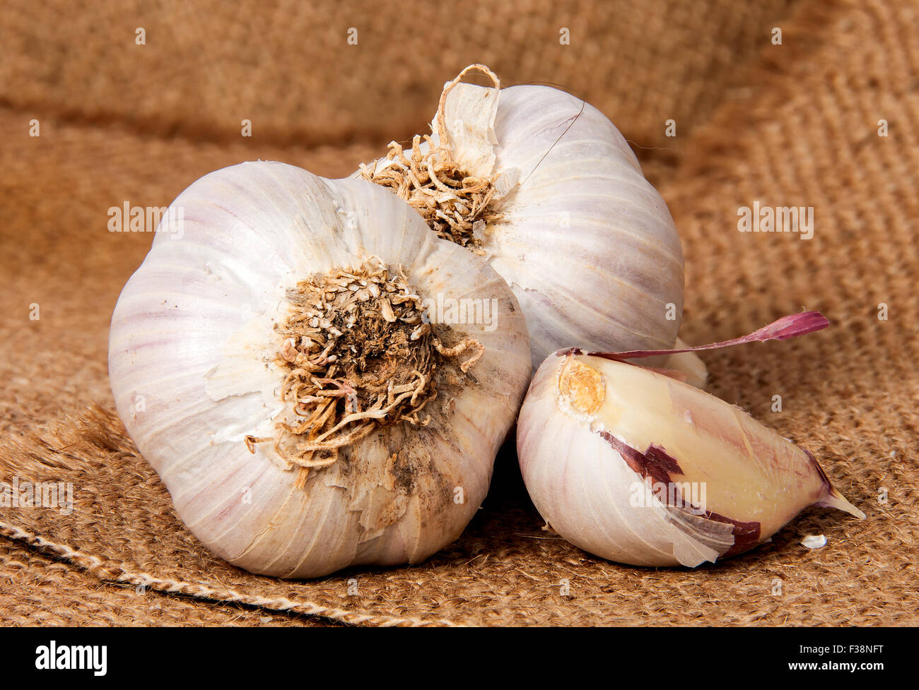 Closeup of two heads of garlic and garlic clove on sackcloth Stock Photo