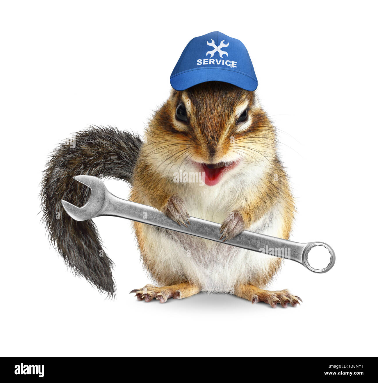 Funny craftsman chipmunk with wrench Stock Photo