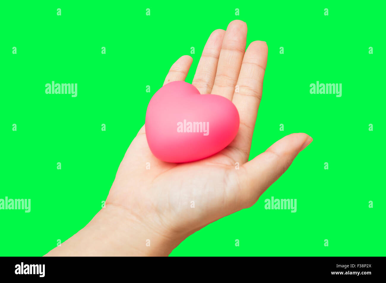 heart in hands Isolated on green screen chroma key background. Stock Photo
