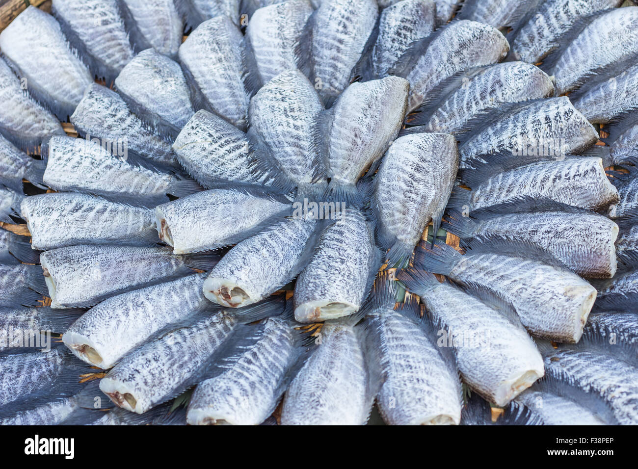 Dried fishs of local food at open market Stock Photo Alamy