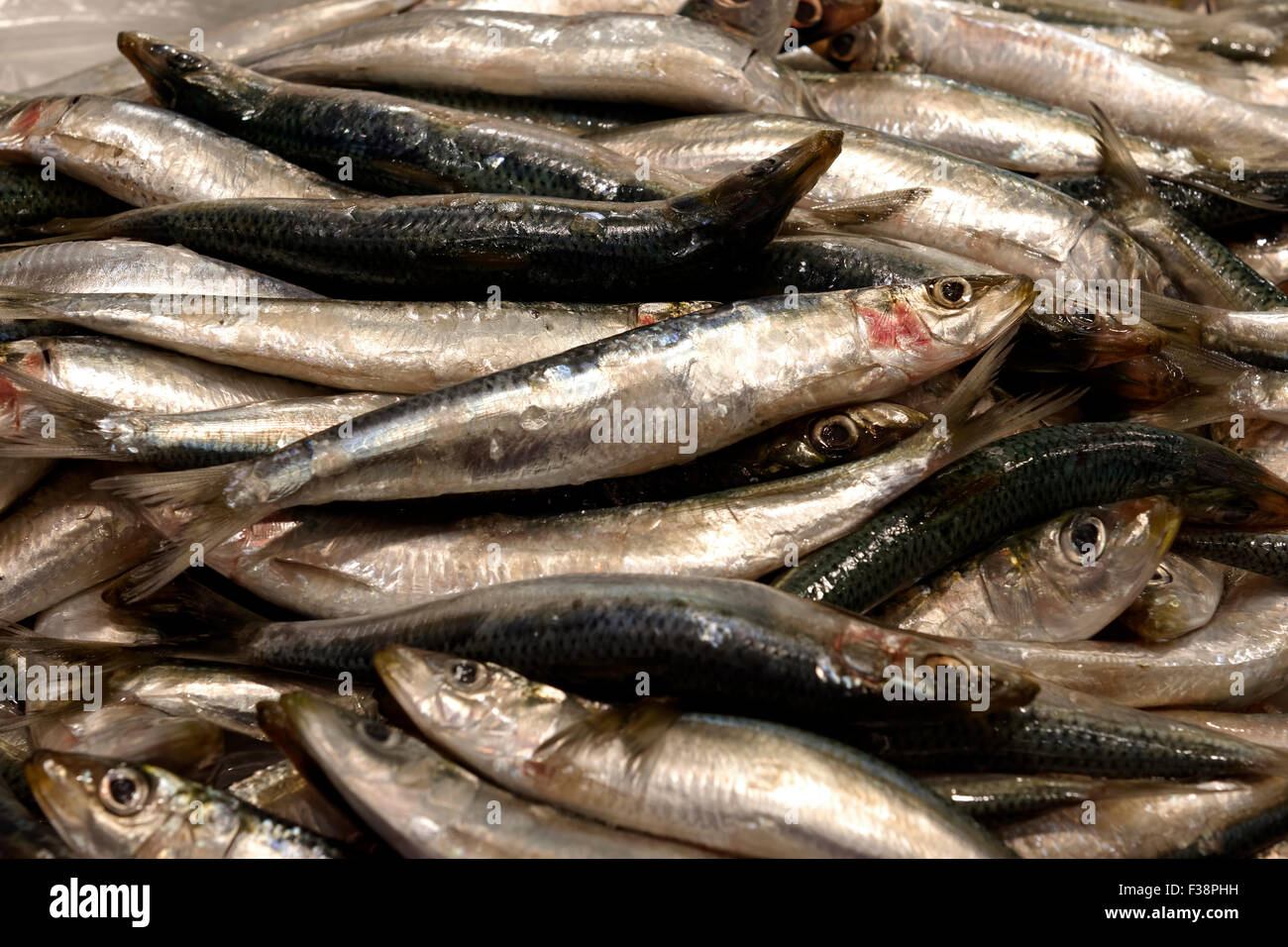 Small Fish at Sydney Fishmarket Stock Photo - Alamy