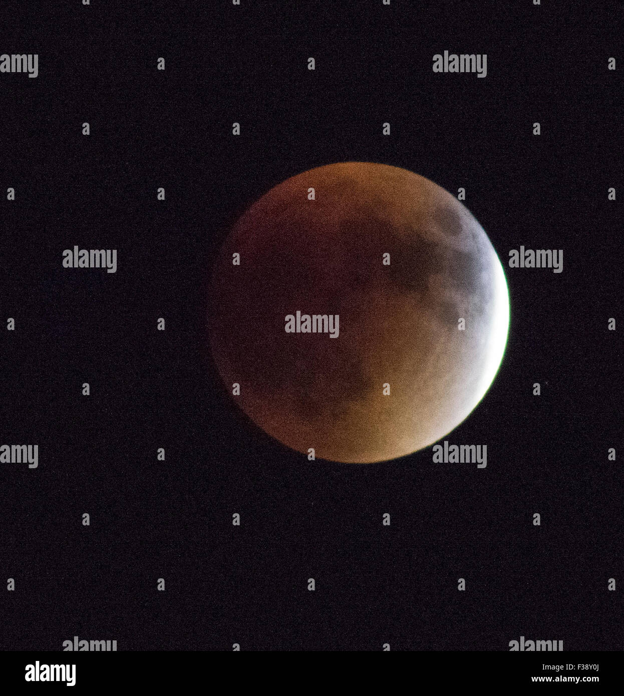 Auburn, Kansas. The Supermoon rising as seen in the Eastern night