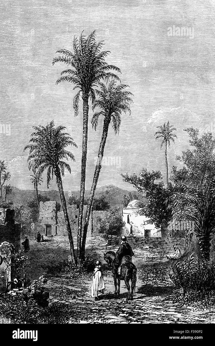 19th Century view of an oasis in the Sahara Desert, Algeria. Stock Photo