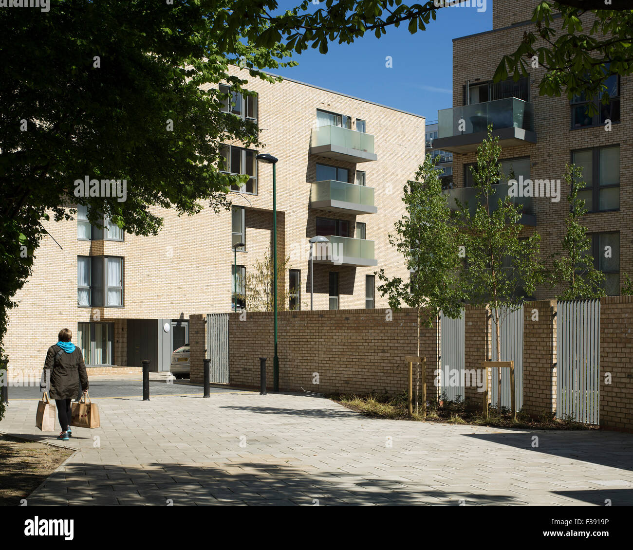 Wide view of rear of housing scheme. Hicks Bolton Bond Housing Scheme