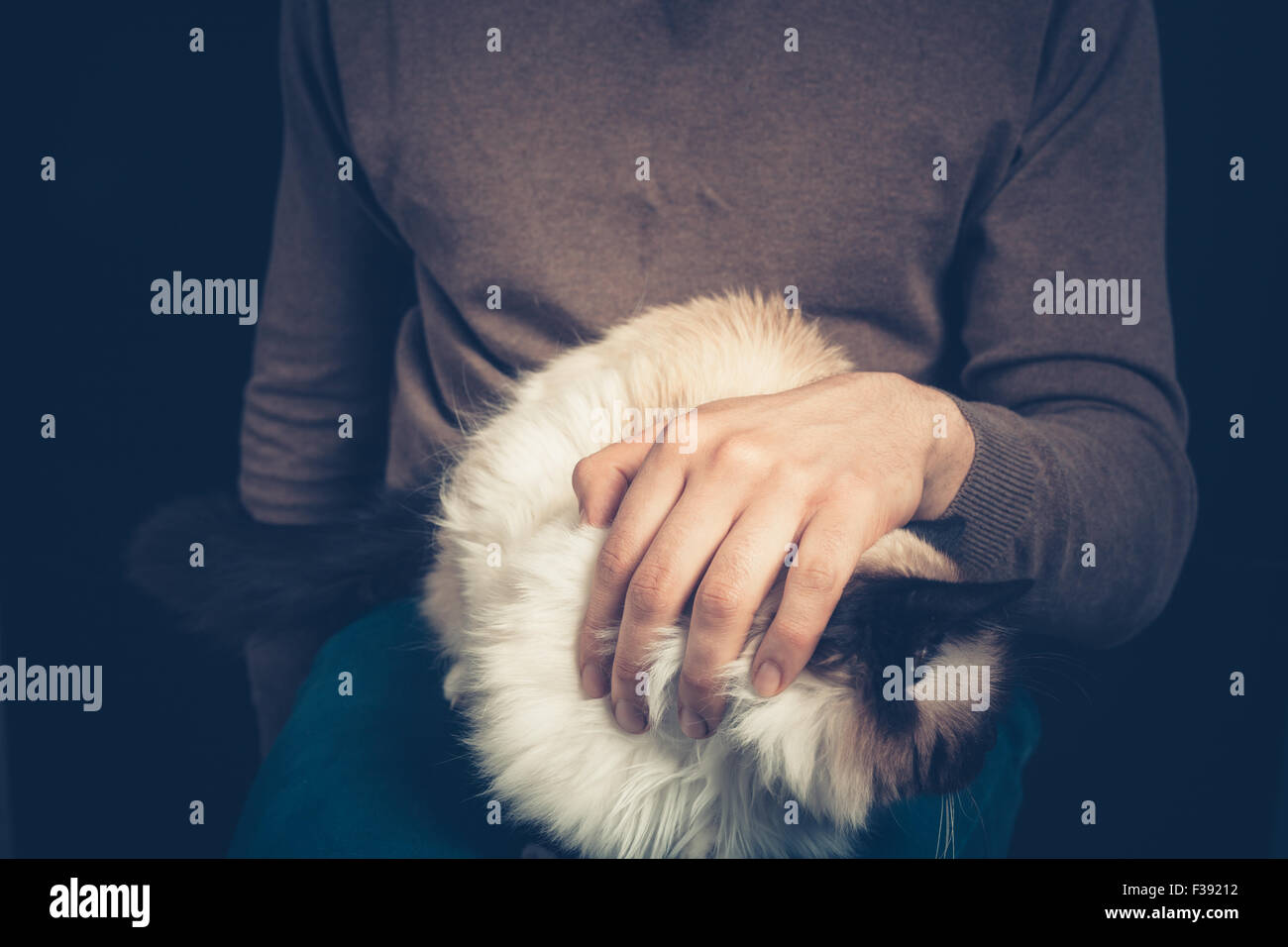 Man cat on lap sitting hi-res stock photography and images - Alamy