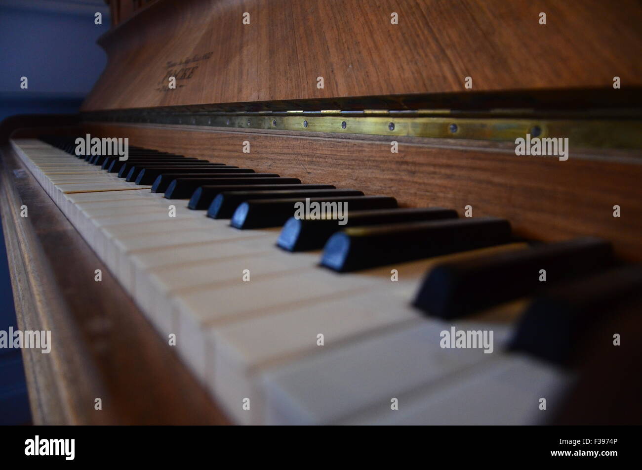 Closeup of piano keys of an (almost) entire keyboard, narrow depthof