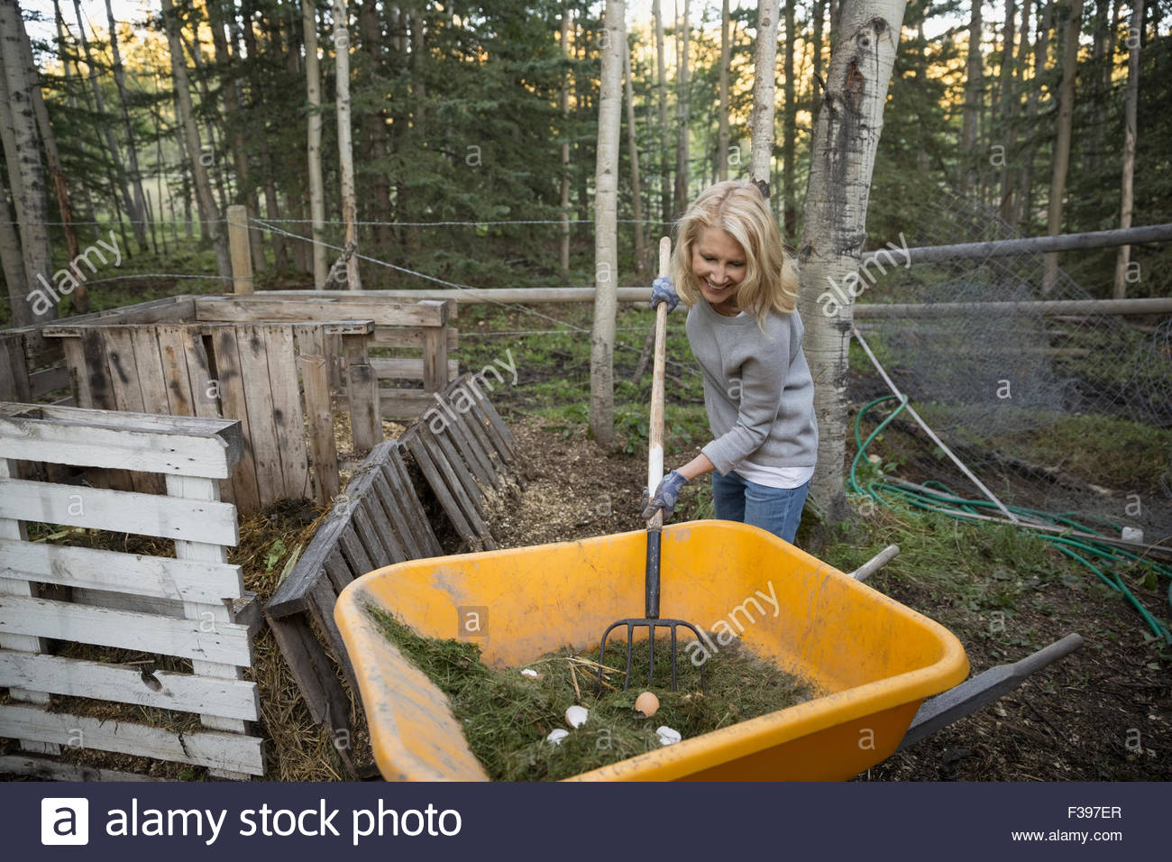 Woman composting in yard Stock Photo