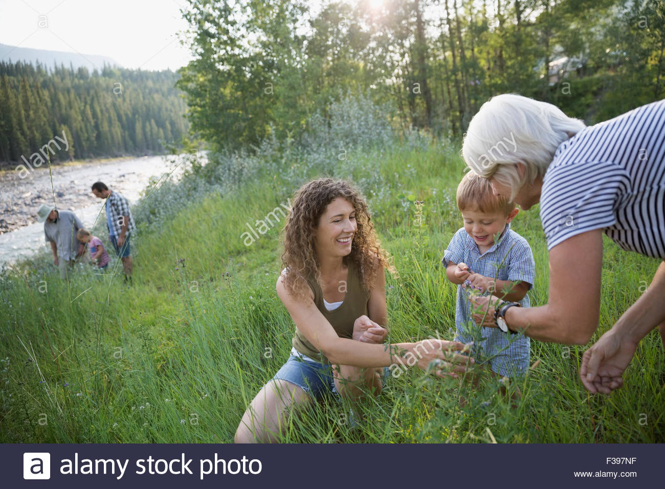 Multi-generation family playing in tall grass Stock Photo - Alamy