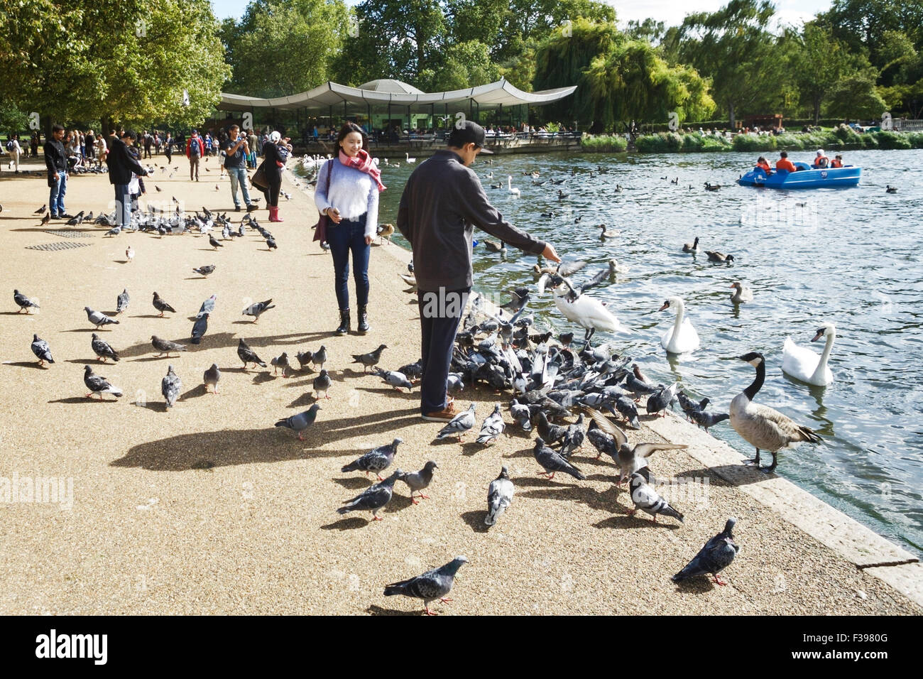 Hyde Park London, Hyde Park Serpentine, tourists feeding the London wildlife. Tourists London. Green London. Stock Photo