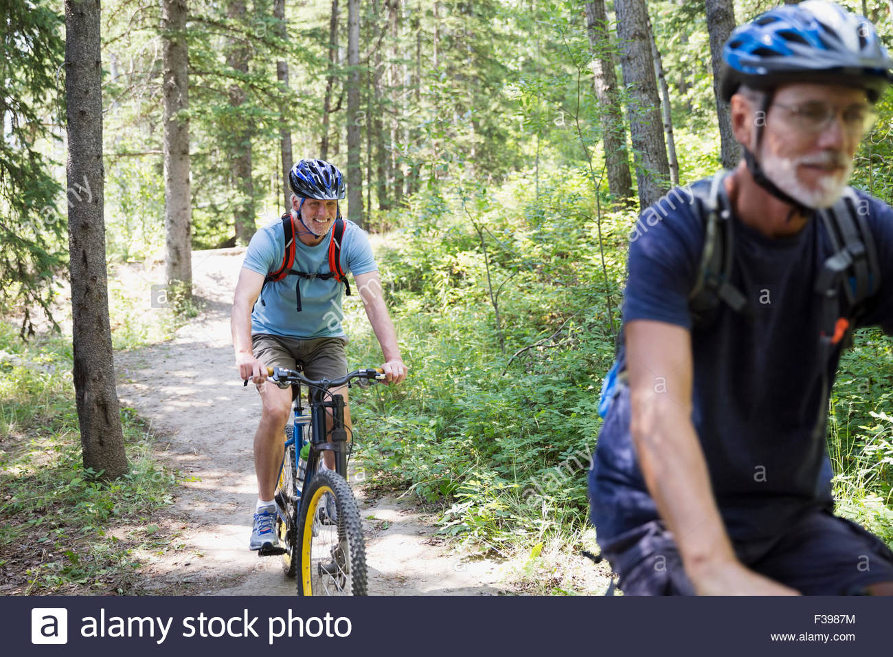 Senior men mountain biking on trail in woods Stock Photo