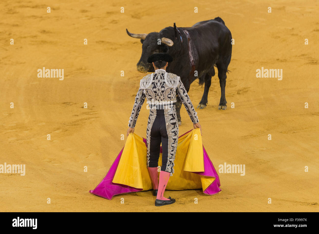 Bull fighting in Spain / Corrida de Toros en España Stock Photo