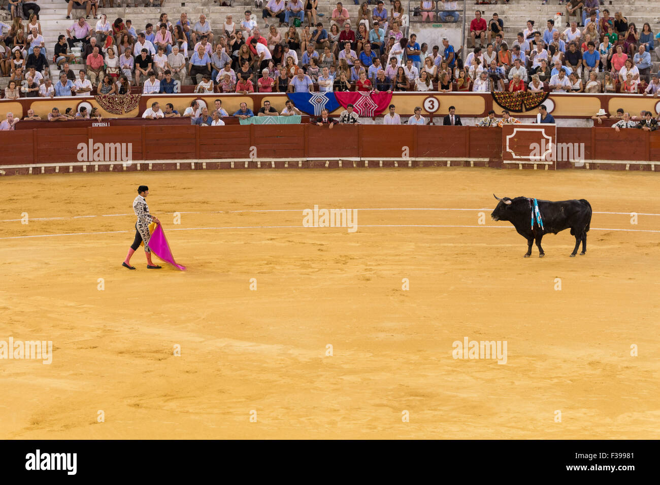 Bull fighting in Spain / Corrida de Toros en España Stock Photo