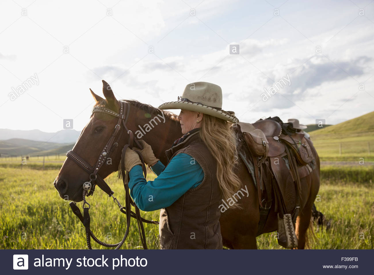 Female rancher adjusting horse bridle in field Stock Photo
