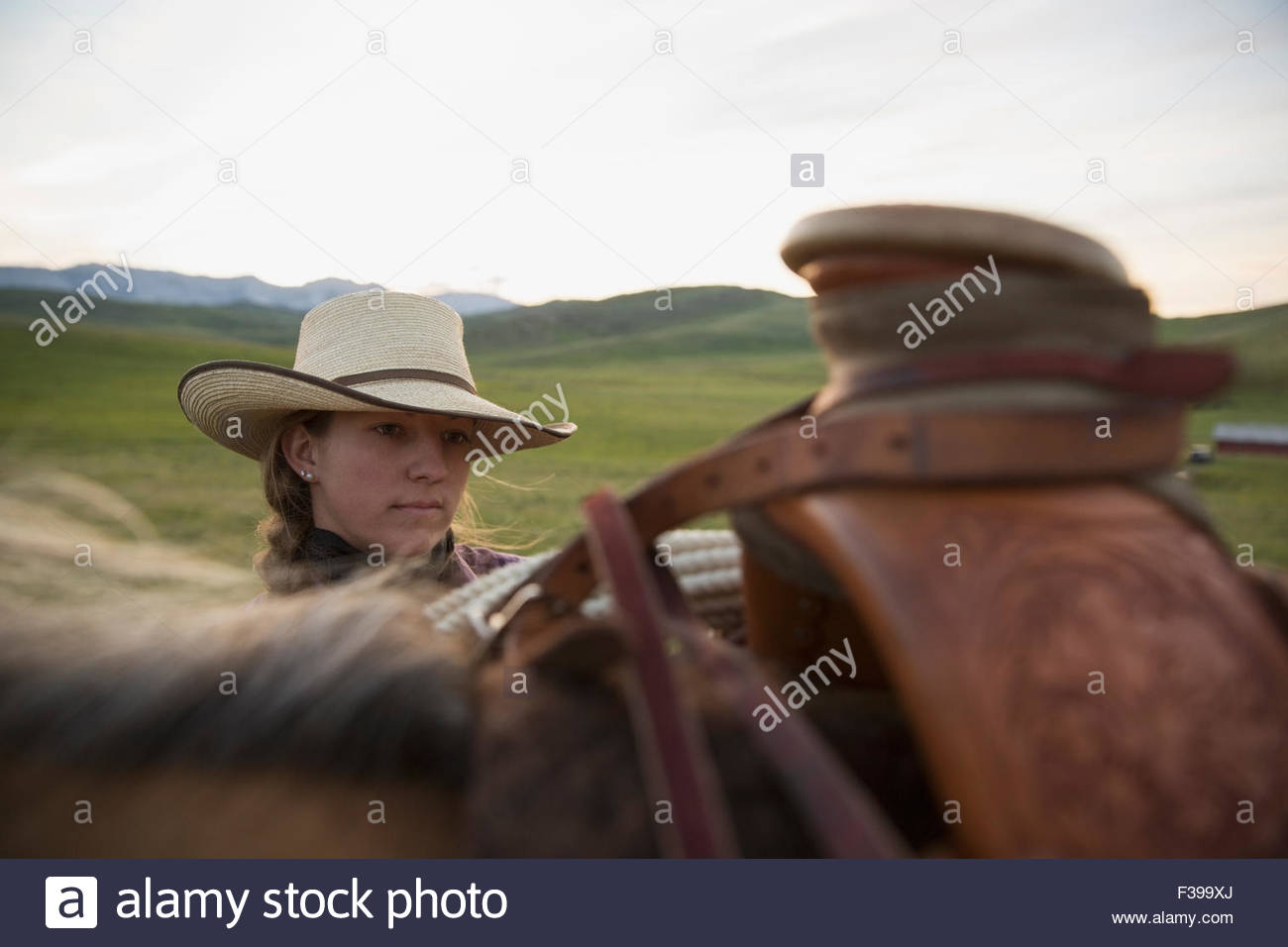 Female rancher adjusting saddle on horse in field Stock Photo