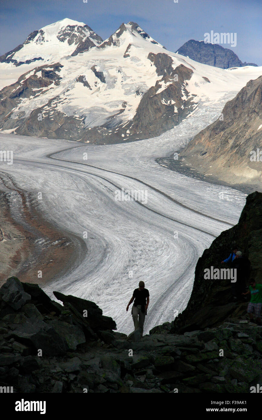 Aletschgletscher mit Eiger, Jungfrau und Moench, Kanton Wallis, Schweiz
