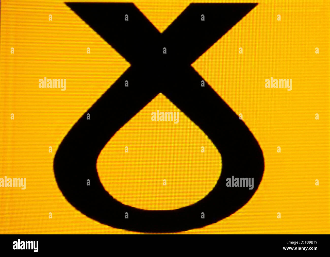 Logo der 'SNP Scottish National Party' - Referendum um die Unabhaengigkeit Schottlands am 18. September 2014 . Stock Photo