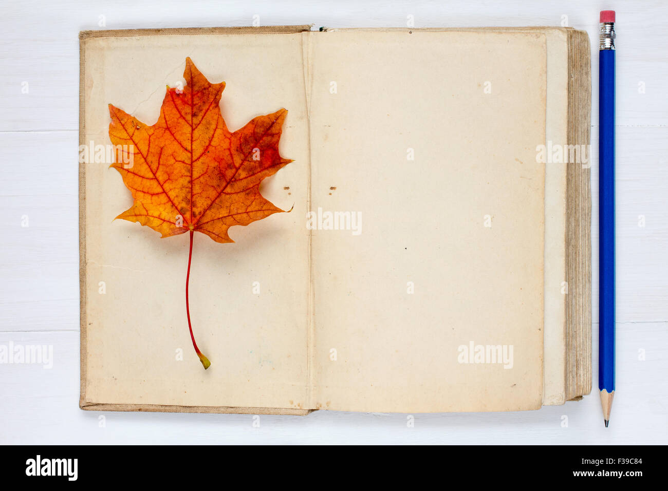 Old open book , autumn leaf and pencil on wooden background Stock Photo