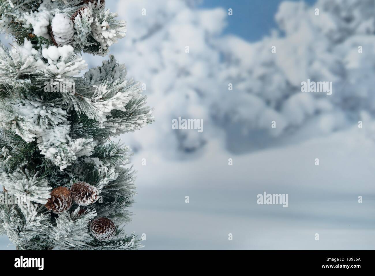 Winter snowy forest Stock Photo - Alamy