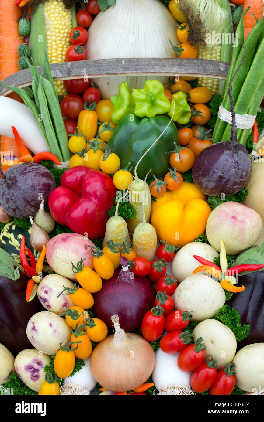 Vegetable trug displays at an Autumn Show. UK Stock Photo