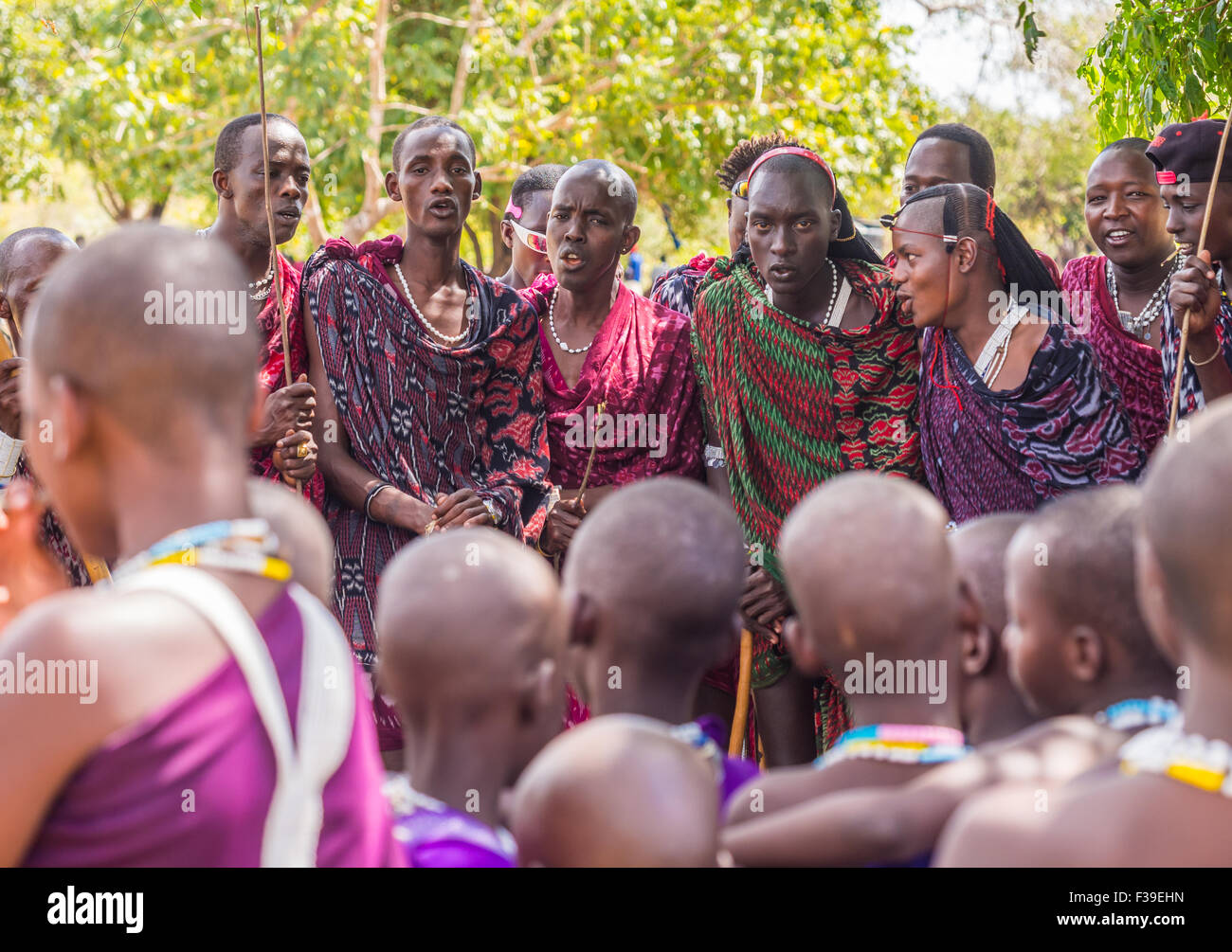 Maasai young man dancing and singing during the ceremony in a boma (Maasai village) Stock Photo