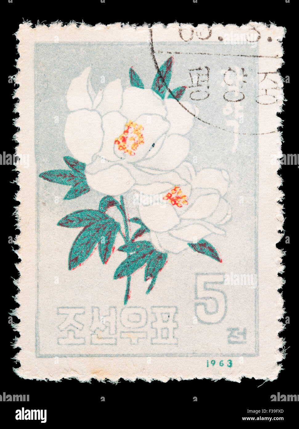 NORTH KOREA - CIRCA 1963: A postage stamp printed in North Korea shows a Japanese rose, Rosa rugosa, circa 1963 Stock Photo