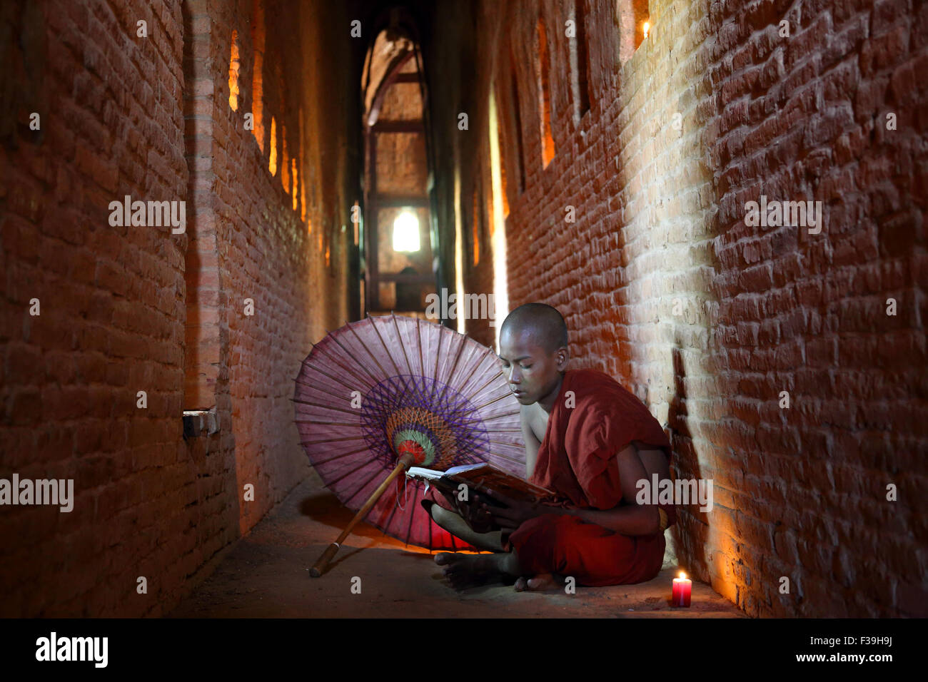 Buddhist monk studying hi-res stock photography and images - Alamy