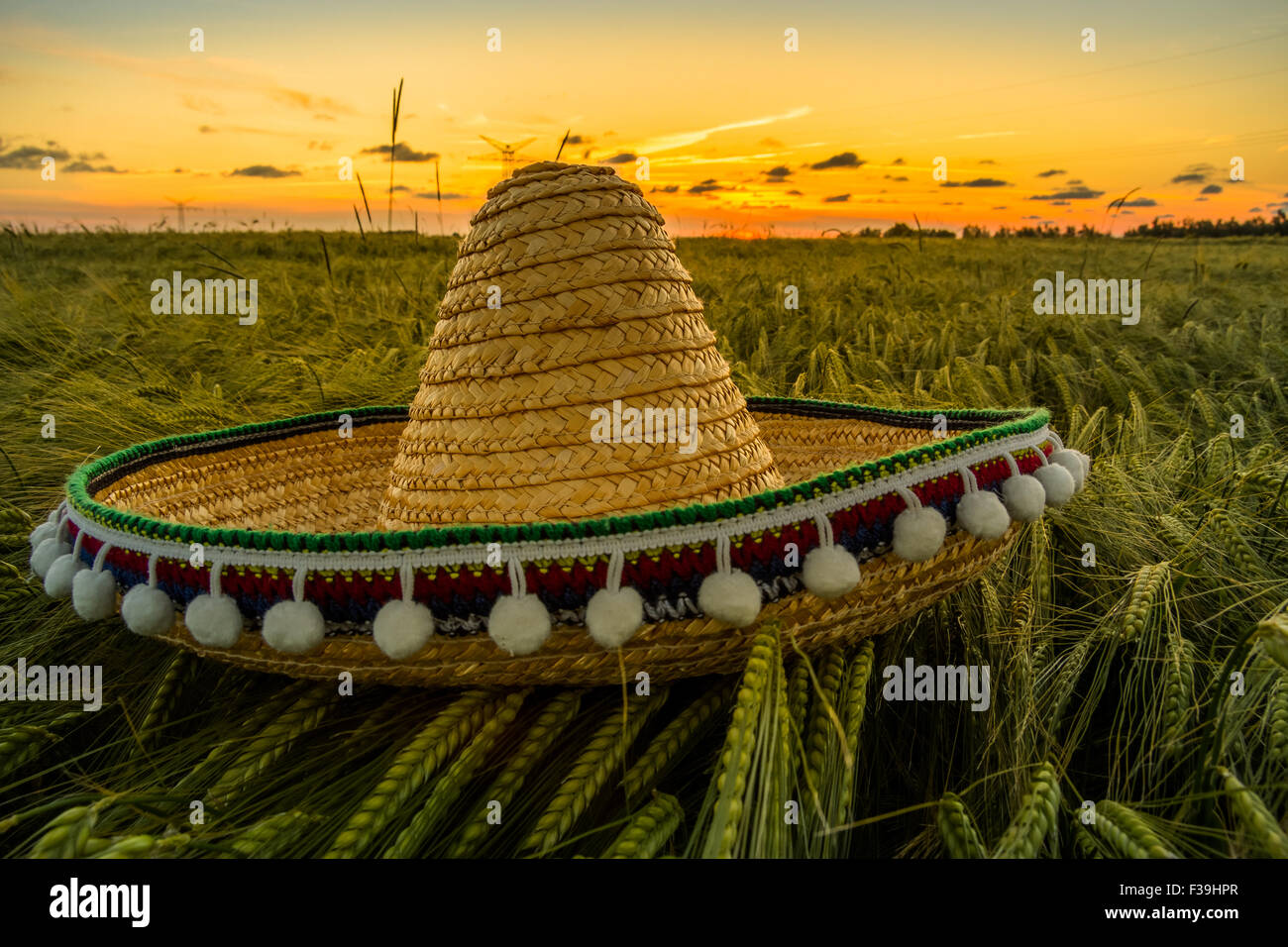 Sombrero hat on a barley field at sunset Stock Photo