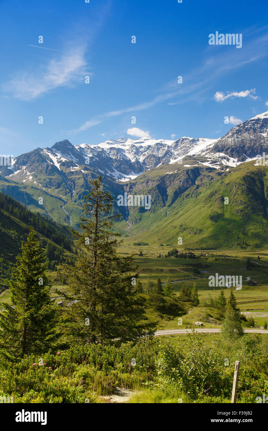 Summertime in Austria Stock Photo - Alamy