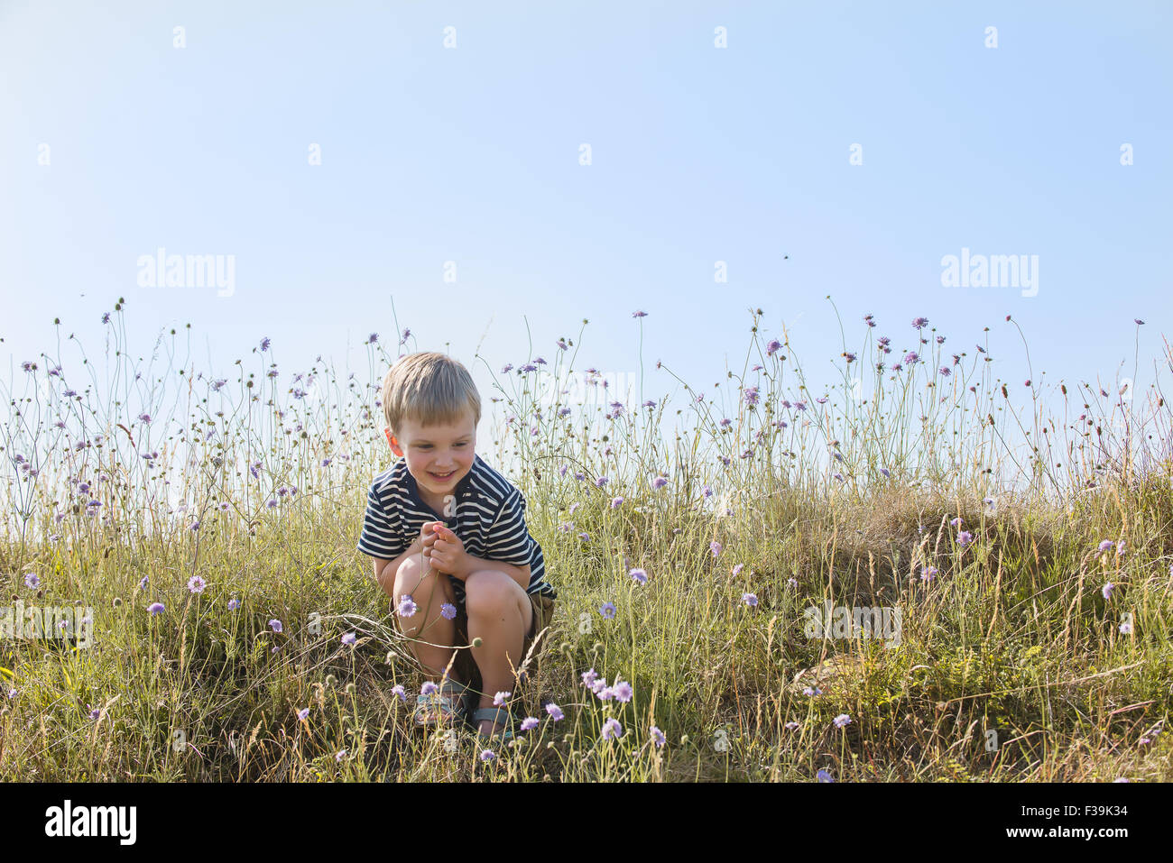 Boy sitting in green field, smiling Stock Photo