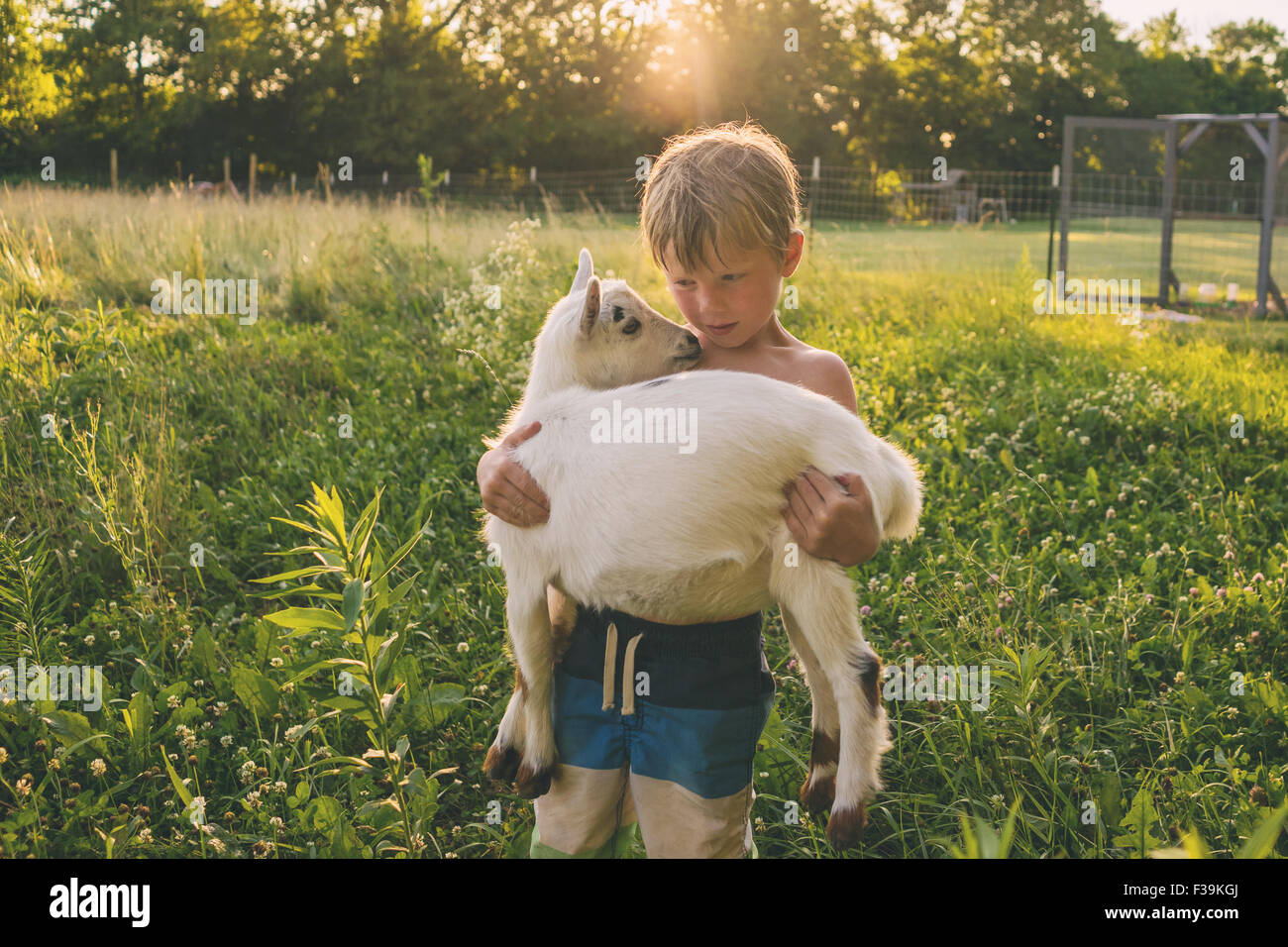 Boy standing in a meadow carrying a young goat Stock Photo