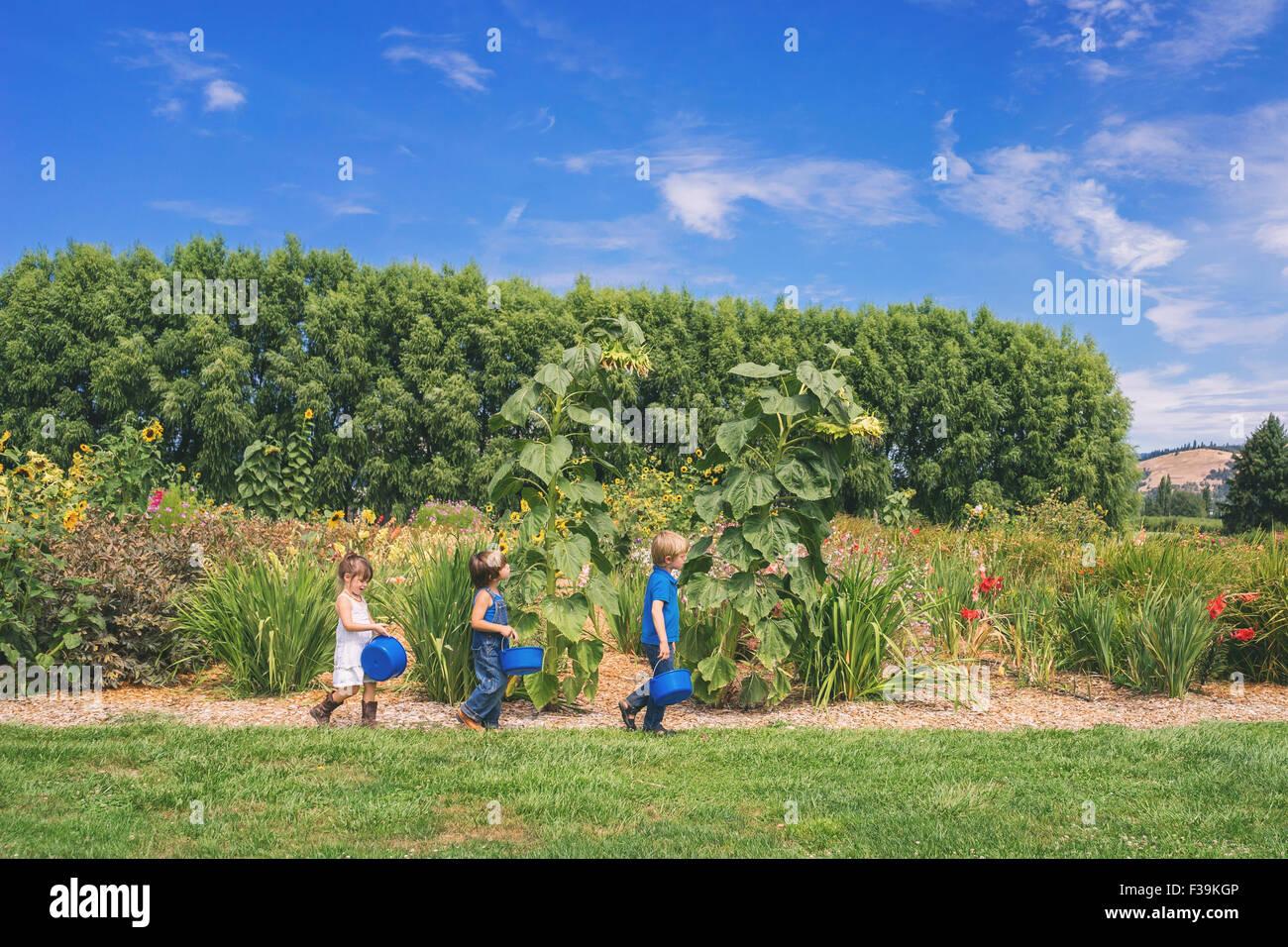 Three children walking in line through countryside carrying buckets Stock Photo